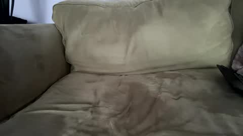 Snapshot of italyhung13 chatting on January 2025 08:00:02 PM Italian BWC online show from January 2025 08:00:02 PM