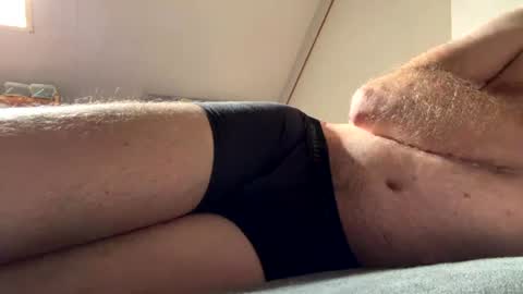 Dutch online show from June 2026 08:34:01 AM