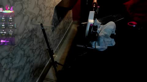 Ivis  online show from December 2025 12:31:02 PM