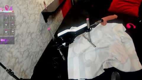 Ivis  online show from January 2026 01:05:02 PM