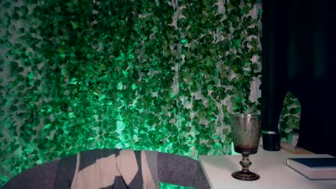 Snapshot of ivyjonson chatting on December 2024 07:54:01 PM Miss Ivy online show from December 2024 07:54:01 PM