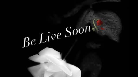 Ivy Rosie online show from February 2026 03:06:02 PM