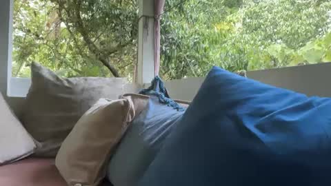 Snapshot of ivysagex chatting on September 2025 01:17:02 AM ivysagex online show from September 2025 01:17:02 AM