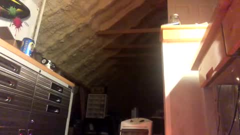 Snapshot of iwinnner chatting on January 2025 02:11:01 AM That  Guy  online show from January 2025 02:11:01 AM