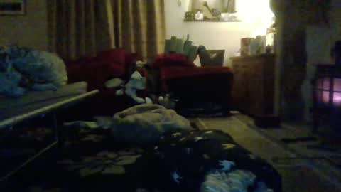 J4ckcock online show from January 2025 12:43:01 AM