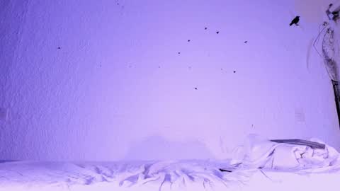 j_martony online show from November 2025 02:17:02 PM