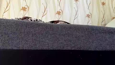 jaaaaanek2 online show from April 2026 06:52:01 AM