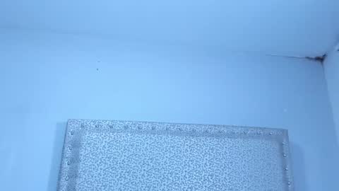 Jack White online show from January 2025 04:02:01 AM