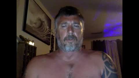 jackhammerhead online show from April 2026 12:46:02 AM