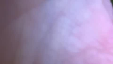 jackjackerman online show from May 2026 02:49:02 PM