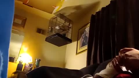 Jay Milwaukee online show from December 2024 08:11:02 AM