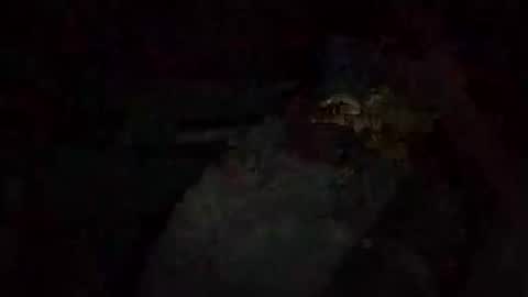 Shakey j online show from October 2025 02:56:01 AM