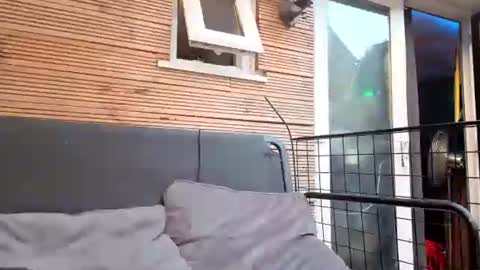 jadealexas online show from July 2026 07:35:01 PM