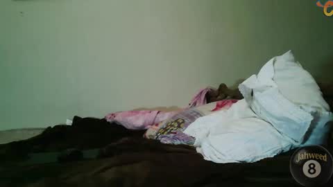 Jahweed online show from February 2026 12:08:02 PM