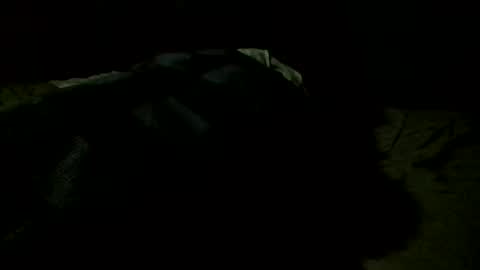 Jamacian online show from October 2025 08:13:01 AM