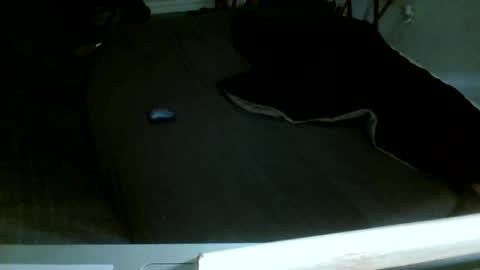 Jamacian online show from December 2025 08:13:02 PM