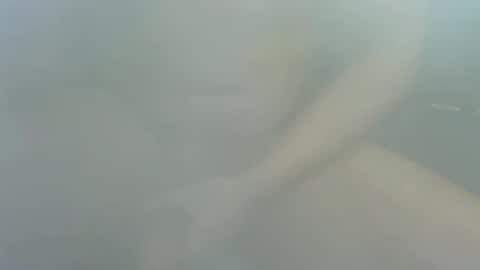 Snapshot of james2377_ chatting on December 2025 02:25:01 PM James2377 online show from December 2025 02:25:01 PM