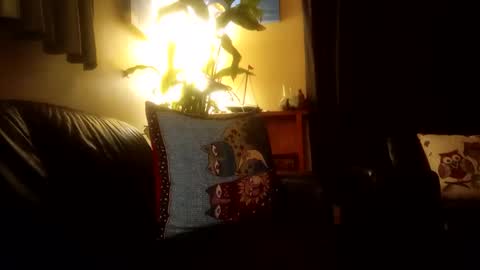 Snapshot of jamesloveridge901 chatting on October 2025 02:24:01 PM jamesloveridge901 online show from October 2025 02:24:01 PM