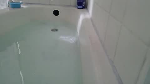 Bootyshows online show from February 2026 02:48:01 PM