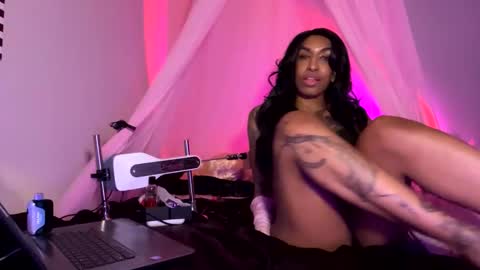 JanuaryVice online show from January 2026 12:21:01 PM