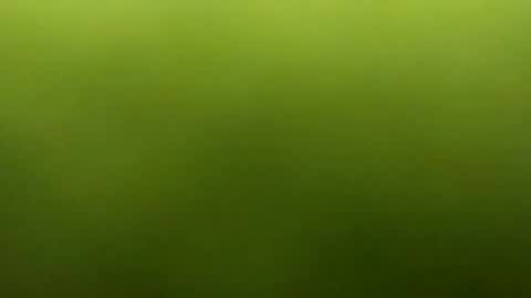 jarret8222 online show from March 2026 09:27:01 AM