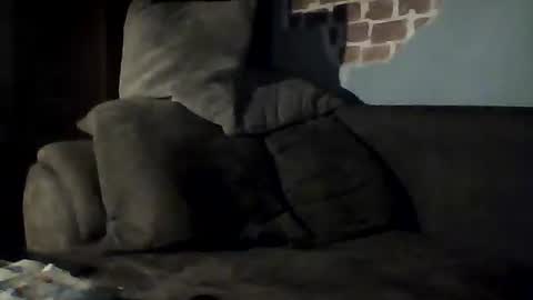 Jan88 online show from February 2025 09:04:02 PM