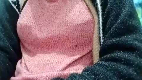 jasspreettt online show from December 2024 03:16:02 AM