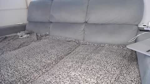 Javier  online show from December 2024 04:01:02 PM