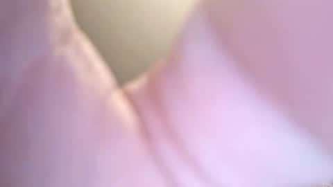 jay56777543234 online show from February 2026 11:24:01 AM