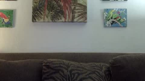 jay-jay1475 online show from January 2025 06:10:01 PM