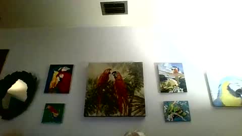 jay-jay1475 online show from January 2025 06:03:02 PM