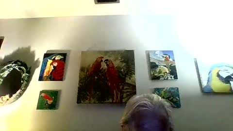 jay-jay1475 online show from February 2025 11:26:01 PM