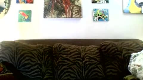 jay-jay1475 online show from March 2025 06:05:02 PM