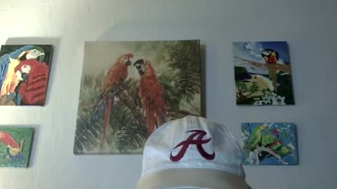 jay-jay1475 online show from March 2025 09:45:02 PM