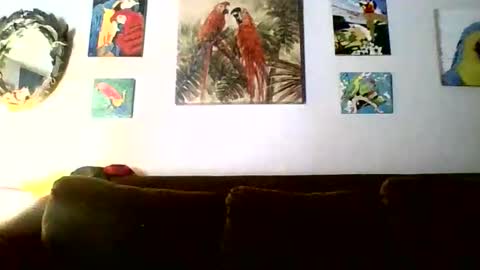 jay-jay1475 online show from February 2026 06:15:02 PM