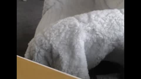 sissy gurl online show from December 2024 05:04:01 PM