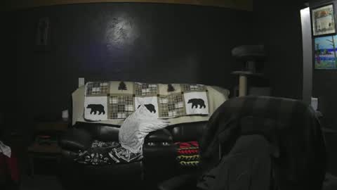 Grand Zaddy or Jay its casual online show from September 2025 02:57:02 AM