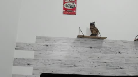 Jaycreedd online show from March 2025 07:25:02 AM