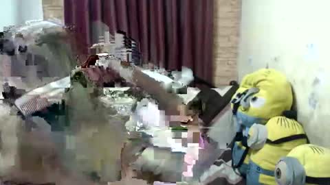 Snapshot of jdan81 chatting on September 2025 05:07:01 PM GorgeousCASSIE online show from September 2025 05:07:01 PM