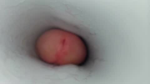 jeffrodgerschaturbat online show from January 2026 07:46:02 AM