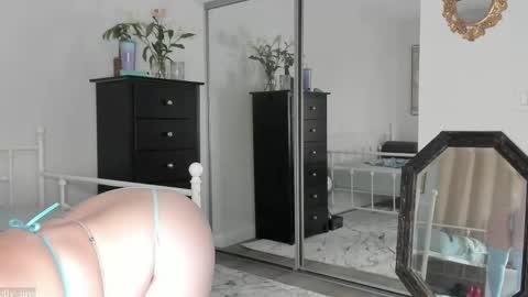 jelly online show from February 2026 01:58:02 AM