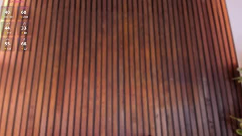     online show from February 2025 11:52:01 AM