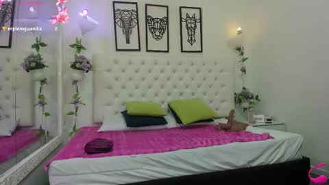 jenny_stark online show from November 2025 11:20:01 AM