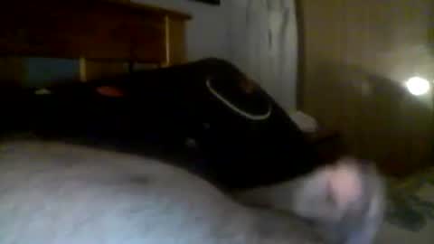 jerkmate6666 online show from December 2024 06:19:02 AM