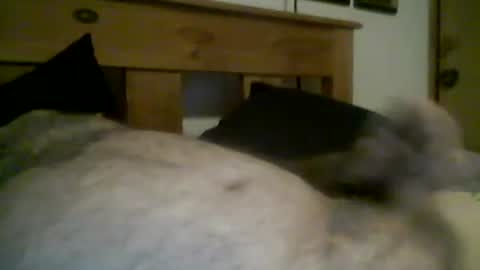 jerkmate6666 online show from March 2026 11:44:01 PM