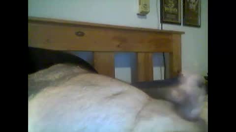 jerkmate6666 online show from May 2026 12:50:01 AM