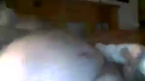 jerkmate6666 online show from July 2026 08:52:02 AM