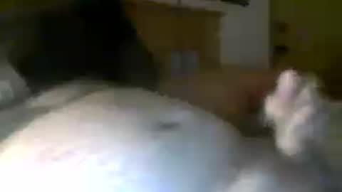 jerkmate6666 online show from July 2026 06:28:01 AM