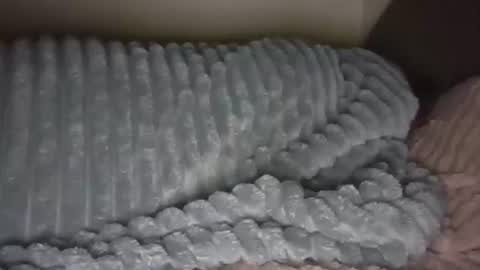 Snapshot of jesica2804 chatting on February 2025 11:44:01 PM jesica2804 online show from February 2025 11:44:01 PM