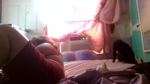 dovedianna online show from July 2026 12:40:02 PM